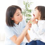 日本の矯正歯科事情